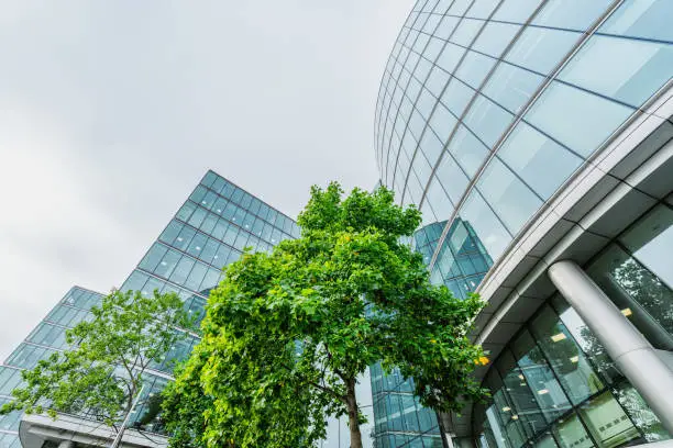 Green Building Trends in 2025: Are Sustainable Properties the Key to Higher ROI?