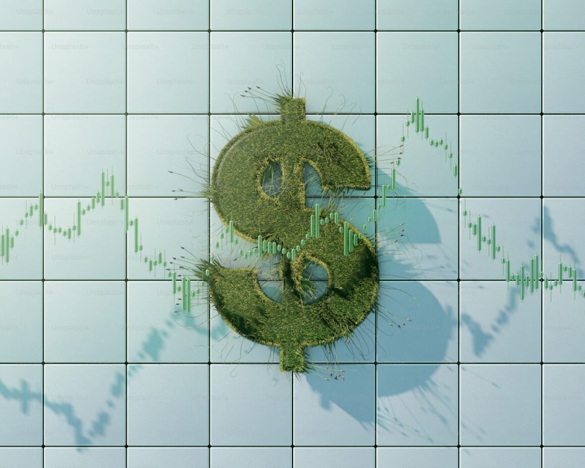 Stablecoins