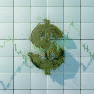 Stablecoins
