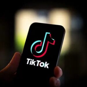 TikTok Finance Mentors: Empowering a New Generation or Fueling Risky Financial Behaviors Through Viral Misinformation?