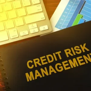 How Do Nigerian Finance Companies Assess Your Credit Risk Differently from Banks?
