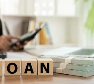 Navigating High-Interest Loans: How Nigerian Finance Companies Influence Risky Investment Behavior