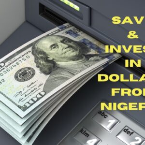 How Do Nigerian Finance Companies Survive Dollar Crises?
