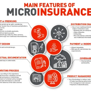 Microinsurance: protecting low-income families